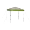 Coleman 7 X 5 Ft. Instant Canopy -Coleman 2000012221 5x7hero1